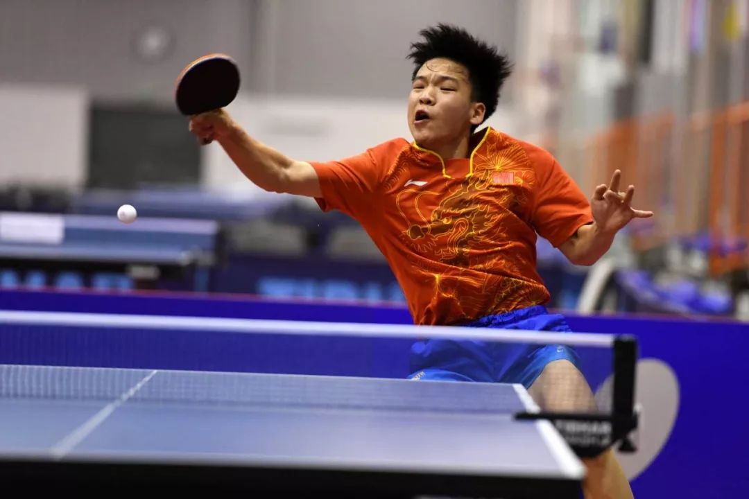 力和顽强的 力和顽强的