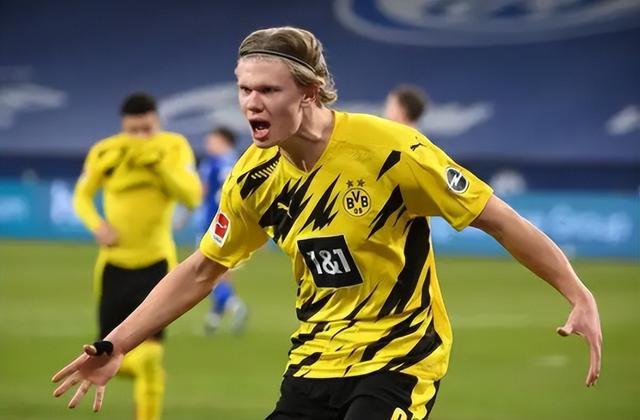 丹麦队核心 丹麦队核心